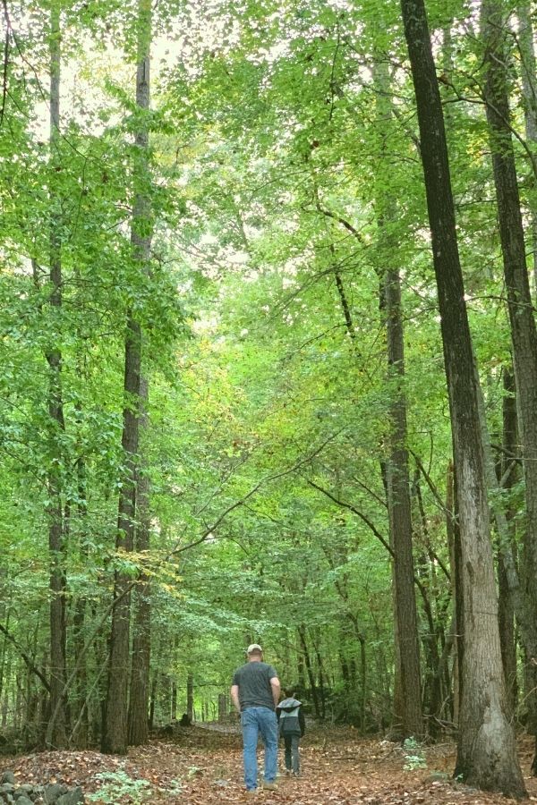 Dad and son walking in the woods